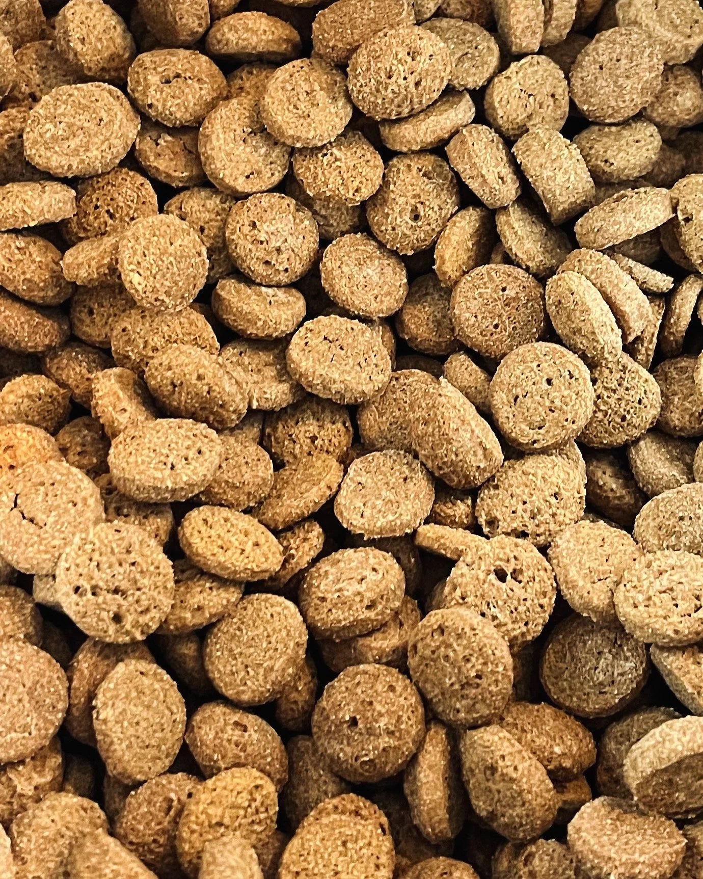 Peanut Butter, Oats & Apple Recipe - Bite-size